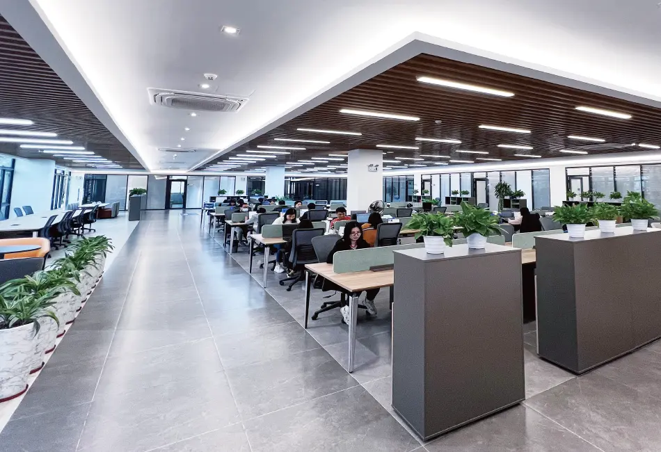 First Mold Invest Branch in France